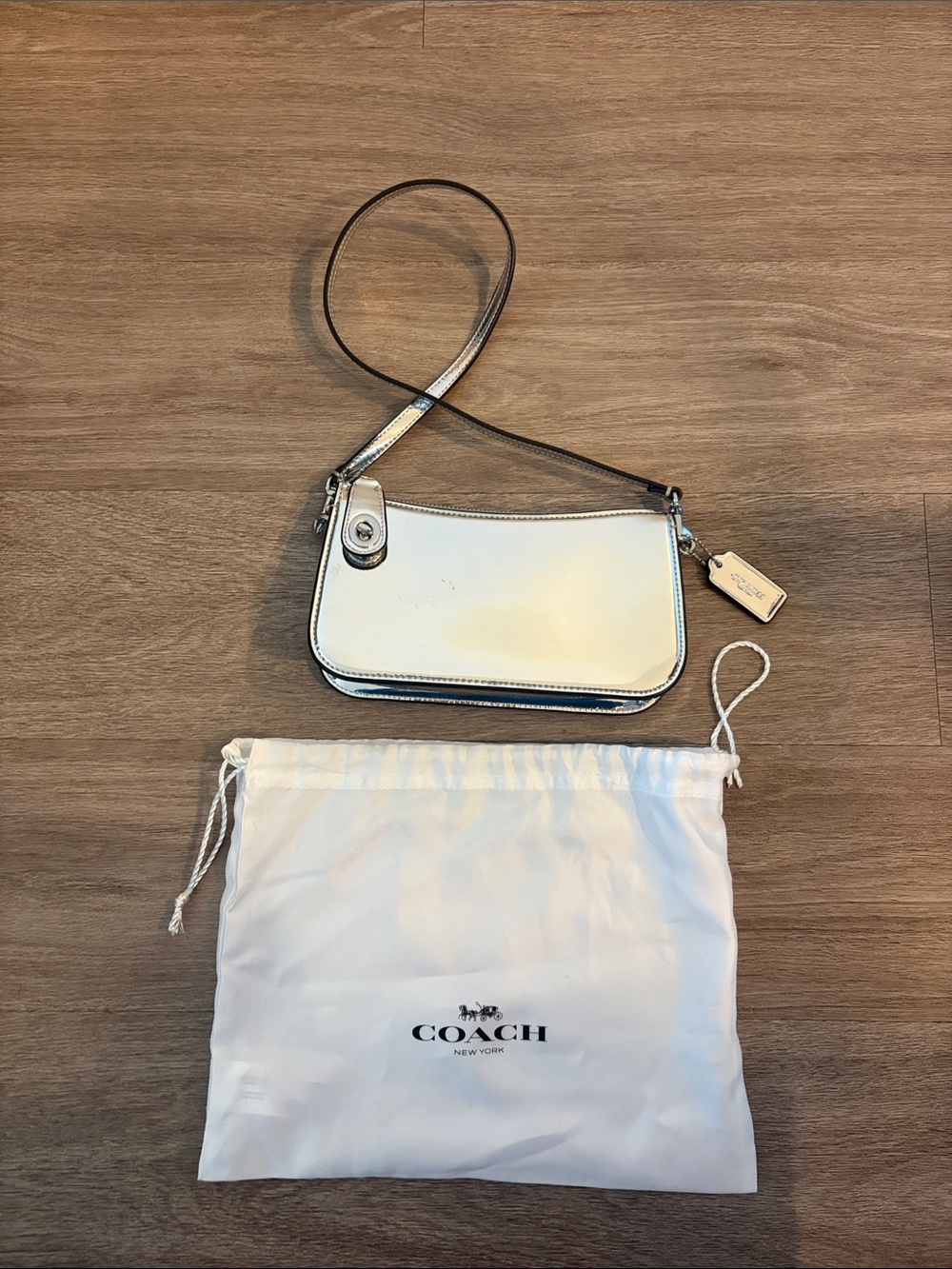 Coach silver bag